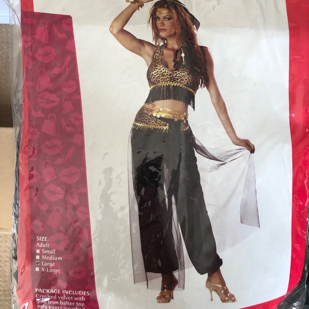 BELLY DANCER COSTUME, Women’s size Large